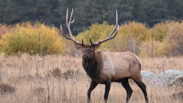 Rocky Mountain National Park open despite government shutdown