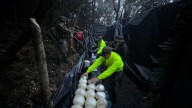 Fuerzas Militares neutralizan infraestructura para procesar heroína en Nariño