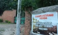 Caso Cecilia Strzyzowski: buscan expropiar la chanchería del clan Sena, donde se cree que la mataron