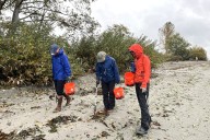 Furloughed feds pick up Seattle beach trash to keep serving the public
