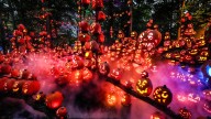 See pumpkin designs from Jack O'Lantern Spectacular 2025