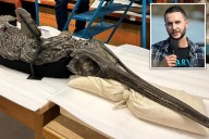 Fossil discovered in England linked to aquatic 'sword dragon' reptile