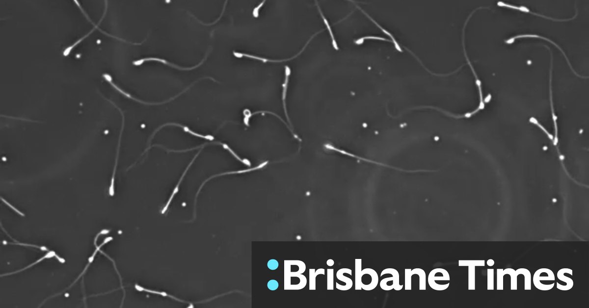 Male infertility: New proposed guidelines will mandate men’s health assessment by doctors, along with women’s