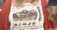 Taylor Swift-worn vintage tee raises $2.3 million for Monterey Bay Aquarium