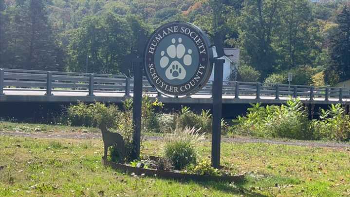 Free Rabies Clinic Happening October 18th at the Humane Society of Schuyler Co.