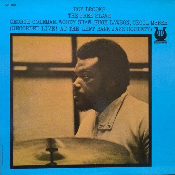 The Free Slave by Roy Brooks