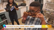 Meet Jimmy: The 10-year-old bug enthusiast aspiring to be a scientist or veterinarian