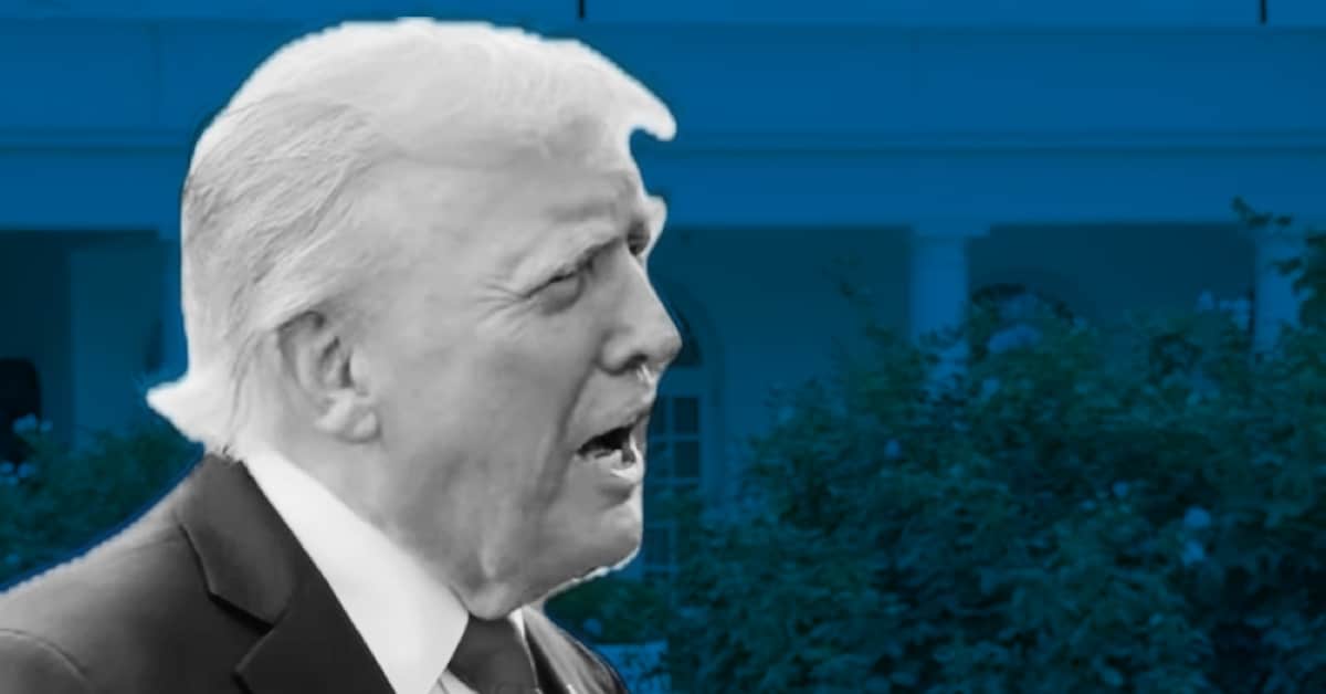 Trump Amplified QAnon Account, Three