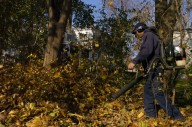 Oak Park alters leaf blower ban amid immigration enforcement