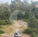 Balacera en zona rural de El Carmen de Viboral deja un muerto y cinco heridos: investigan posible ajuste de cuentas entre bandas