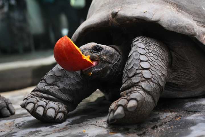 Our world in photos: October 28