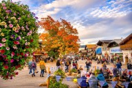 Best Colorful Autumn Drives in Washington