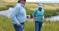 Madison County ranch land would be first FWP conservation lease in Region 3