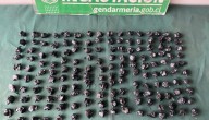 Ronda preventiva permite incautar "pelotazos" con droga hacia la cárcel de Valparaíso