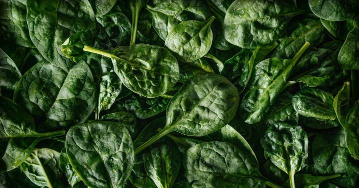 Retiran espinacas orgánicas congeladas en EEUU por posible contaminación con listeria
