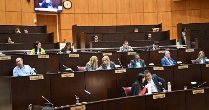 El nuevo Código Civil y Comercial de Neuquén estará listo recién en 2026