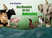 HOY ES DÍA MUNDIAL DE LOS ANIMALES
