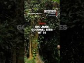 Dr. Jane Goodall dies at 91