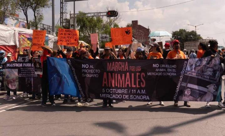 Animalistas marchan al Zócalo para exigir fin del maltrato y cierre del Mercado de Sonora