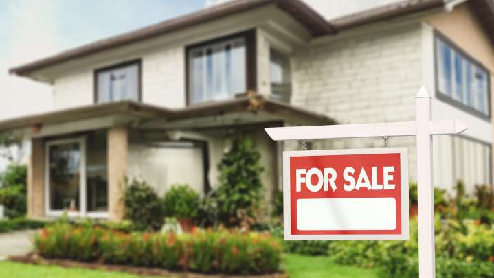 Keep An Eye On Potential Pest Problems Before Buying A Home: Here's How