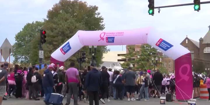 Make Strides Against Breast Cancer Walk raises $2.5 million