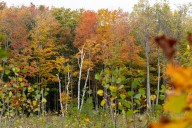 Weather Wind and rain ahead with Gale Warnings on Lake Superior