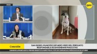 Vecina de San Isidro considera que hubo "tardía respuesta" de la municipalidad ante envenenamiento de mascotas