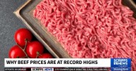 Why beef prices are at record highs