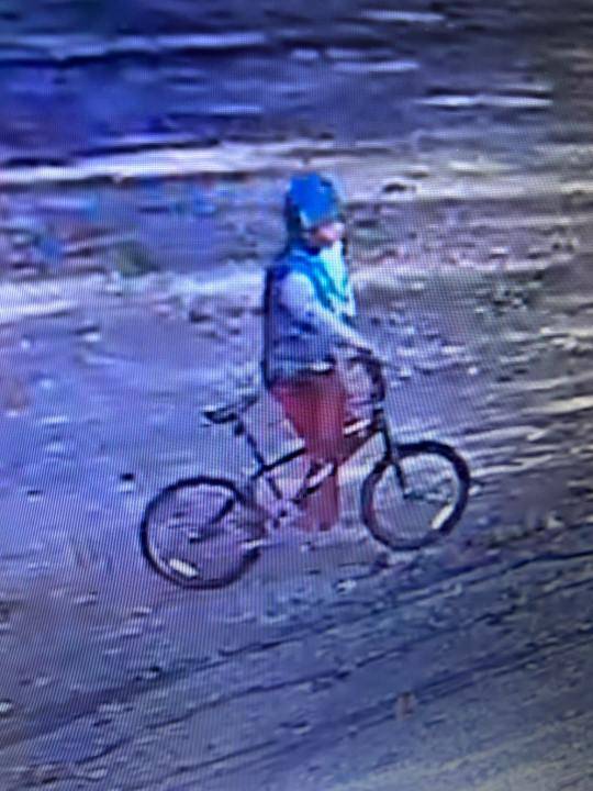 Local deputies searching for boy last seen heading into woods