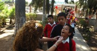 Instalarán filtros en primarias por virus