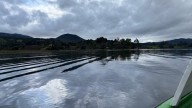 La isla que de lejos parece el caparazón de una gran tortuga flotando en el agua; un paraíso de naturaleza único en Nariño