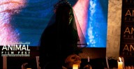 Festival de terror en Morelia te invita a caracterizarte y unirte a la atmósfera