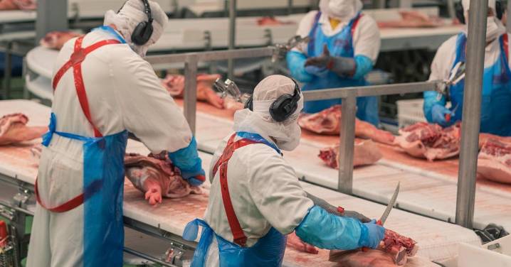 Grupo cárnico brasileño MBRF refuerza su presencia en el Golfo Pérsico
