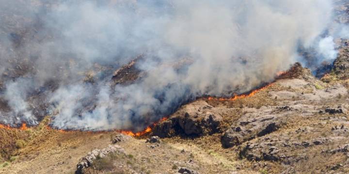 Córdoba: más de 200 bomberos luchan por quinto día consecutivo con el fuego en la Quebrada del Condorito