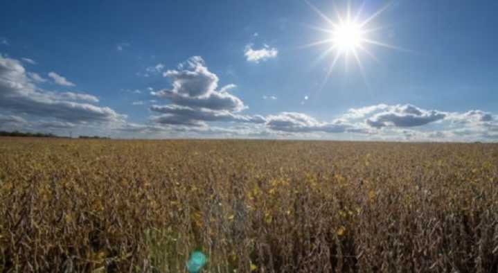 Senado de EU aprueba resolución para revertir aranceles de Trump en todo el mundo