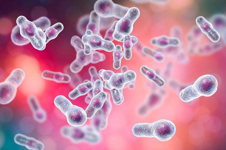 IDSA: 216,311 U.S. Deaths Associated With C. Diff Infection ID'd in 1999 to 2023