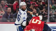 Animosity between Lightning and Florida Panthers reaches new heights