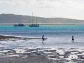 Teen critical after 'traumatic' shark attack in Australia
