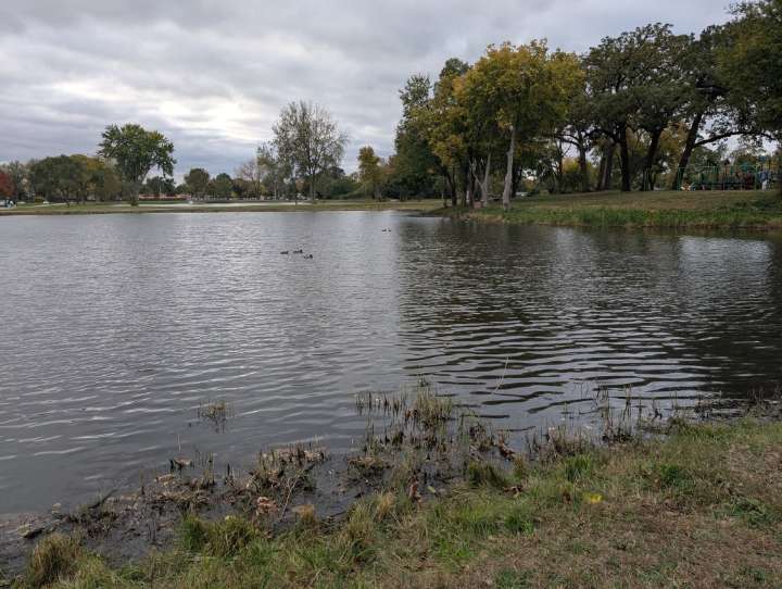 Aurora looks to improve Mastodon Lake at Phillips Park