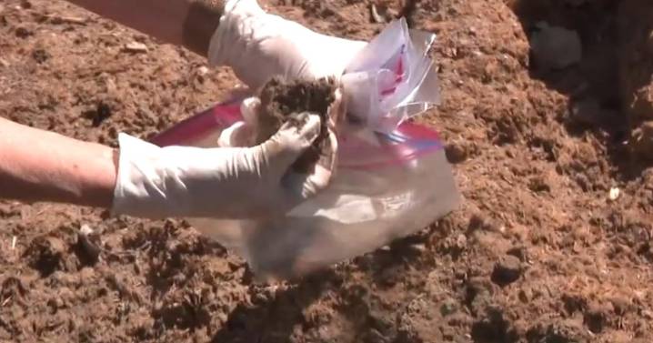 Homeowners trying to rebuild after Altadena's Eaton Fire face concerns over lead levels in soil