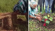 We the peepal: Woman's wails over felled tree get cop, MLA into action
