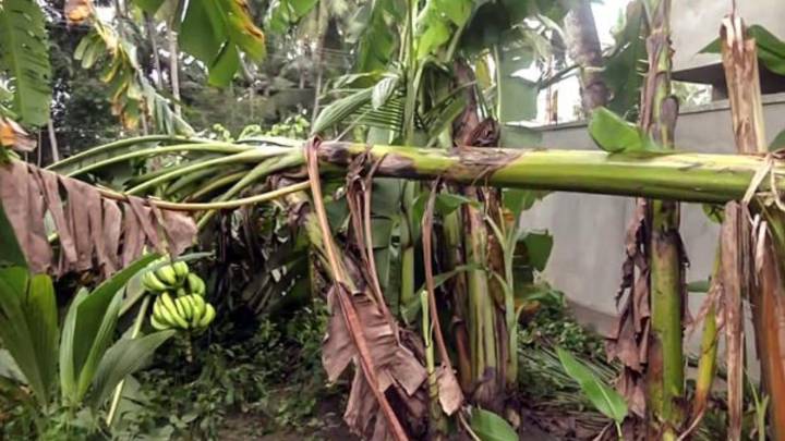 Cyclone Montha: Heavy rains lash Telangana; trains, crops hit