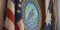 MN Sec. of State Steve Simon testifies on voting fraud in state committee