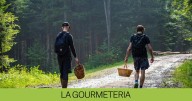 Todas las setas de otoño que puedes encontrar este octubre en Catalunya