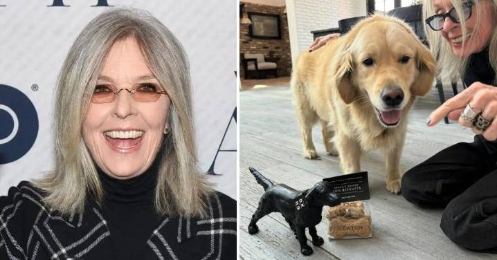 Diane Keaton Left $5 Million of Her Estate to Beloved Dog Reggie, Source Reveals After Actress' Sudden Death: 'He Was Her World'