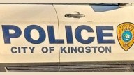 Kingston man arrested on weapon, animal abuse charges