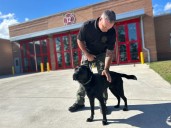 Labrador sworn in as new Howard County arson detection canine