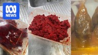 Authorities identify homemade foods believed to be linked to Queensland rat poisoning cluster
