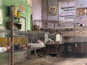 Productores de San Francisco piden reactivar Ruta Gastronómica del Conejo