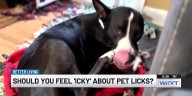 Better Living: Should you feel 'icky about pet licks? & the holiday hustle begins for retailers